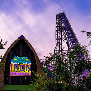 IRON GWAZI!!!!!